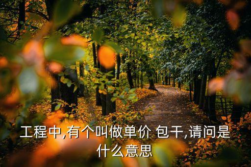 工程中,有個叫做單價 包干,請問是什么意思