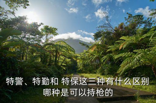 特警、特勤和 特保這三種有什么區(qū)別哪種是可以持槍的