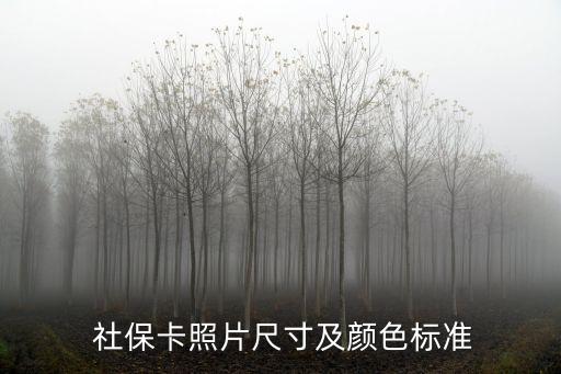  社?？ㄕ掌叽缂邦伾珮?biāo)準(zhǔn)
