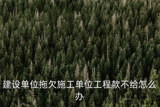 建設(shè)工程合同無(wú)效未結(jié)算,工程合同無(wú)效怎么結(jié)算