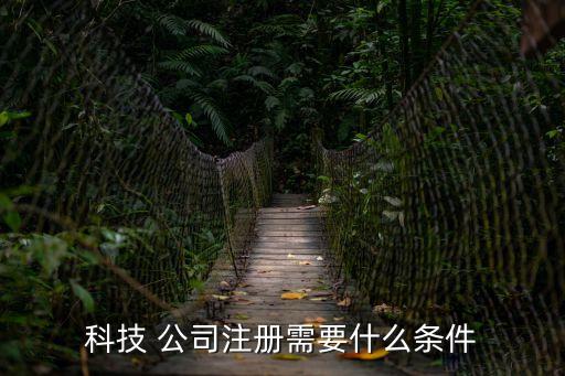 科技 公司注冊需要什么條件