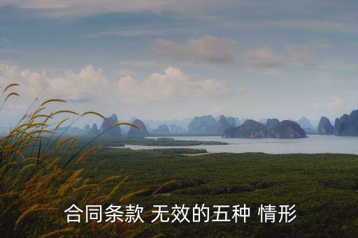  合同條款 無效的五種 情形