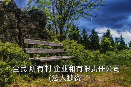  全民 所有制 企業(yè)和有限責(zé)任公司(法人獨(dú)資