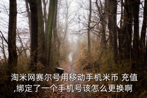  淘米網(wǎng)賽爾號(hào)用移動(dòng)手機(jī)米幣 充值,綁定了一個(gè)手機(jī)號(hào)該怎么更換啊