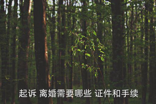  起訴 離婚需要哪些 證件和手續(xù)