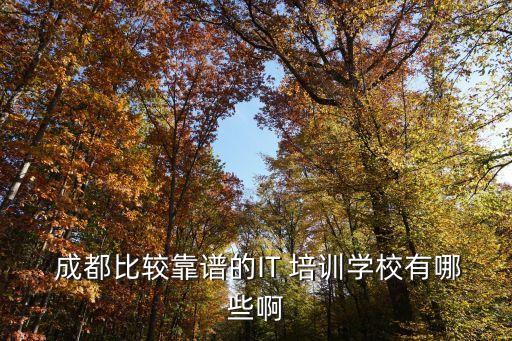 成都計算機培訓(xùn)機構(gòu)哪個最好,數(shù)據(jù)分析師培訓(xùn)機構(gòu)推薦