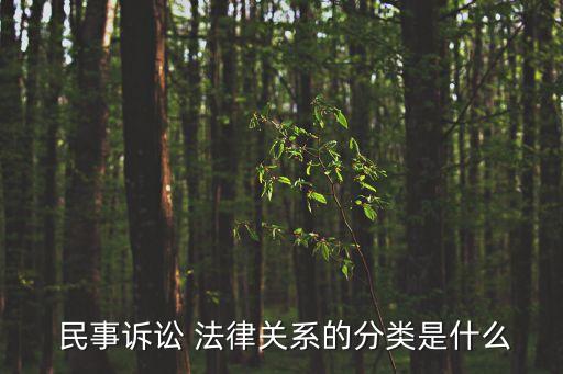 民事案件法律關(guān)系圖,一個(gè)民事案件能否審理兩個(gè)法律關(guān)系