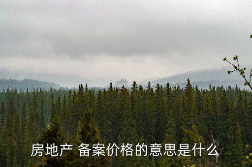 備案價是什么意思,房地產(chǎn)開發(fā)商備案價是什么意思