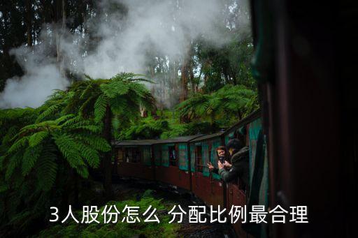3人股份怎么 分配比例最合理