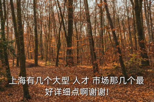上海有幾個(gè)大型 人才 市場那幾個(gè)最好詳細(xì)點(diǎn)啊謝謝!