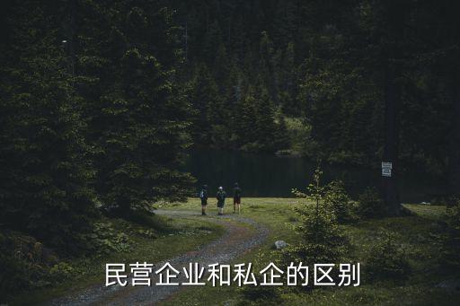  民營(yíng)企業(yè)和私企的區(qū)別