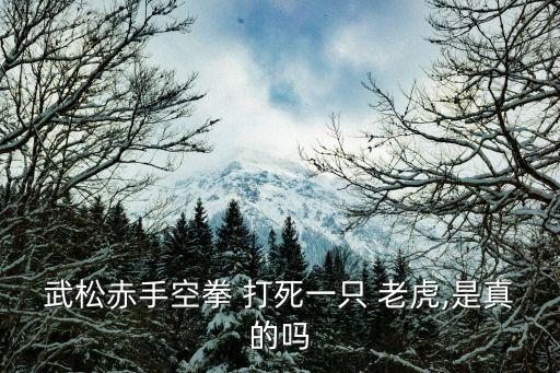 打死老虎,水滸傳誰打死老虎