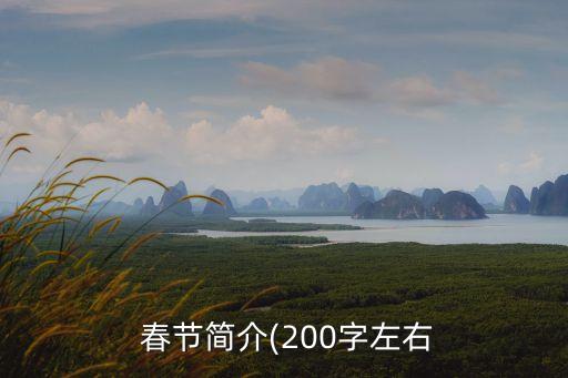 春節(jié)簡介