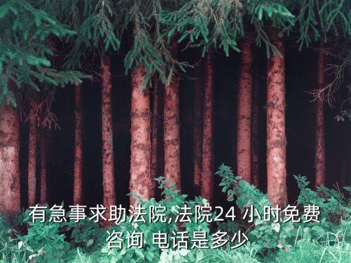 常州法律咨詢?cè)诰€24小時(shí)電話,24小時(shí)免費(fèi)律師在線咨詢