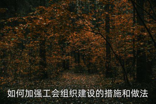 如何加強(qiáng)工會(huì)組織建設(shè)的措施和做法