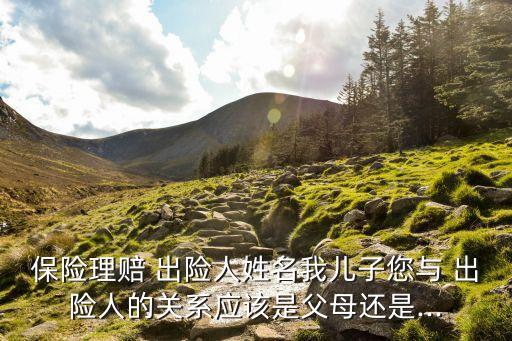 保險理賠 出險人姓名我兒子您與 出險人的關(guān)系應(yīng)該是父母還是...