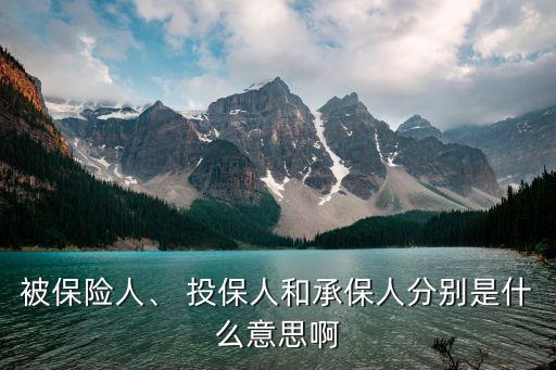 被保險(xiǎn)人、 投保人和承保人分別是什么意思啊