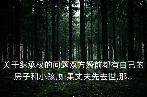 關于繼承權的問題雙方婚前都有自己的房子和小孩,如果丈夫先去世,那...