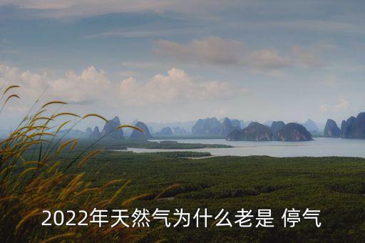 2022年天然氣為什么老是 停氣