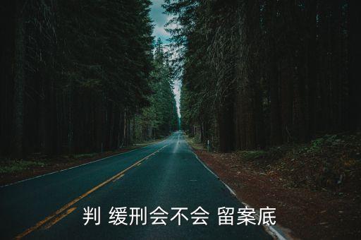 緩刑會(huì)留案底嗎,爭取緩刑一定要請律師嗎