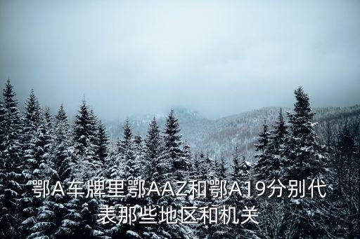 鄂t,鄂e是哪里的車牌號碼