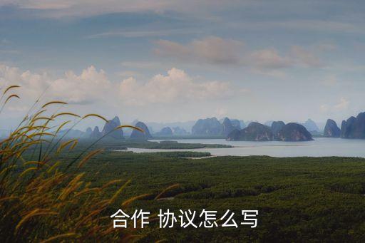  合作 協(xié)議怎么寫