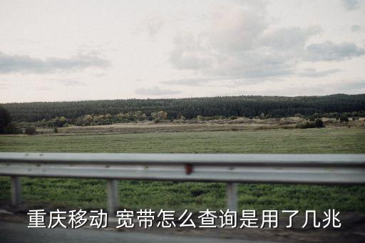 重慶移動寬帶