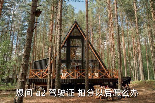a2駕駛證扣分怎么處理,2023年a2駕駛證扣分怎么處理