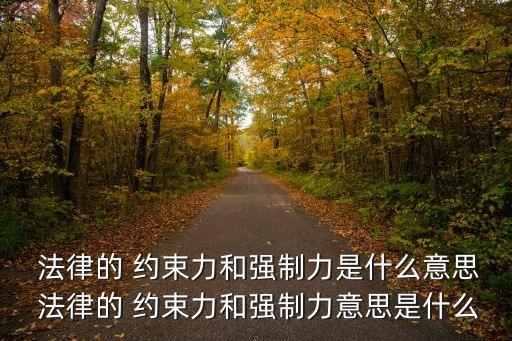 法律約束