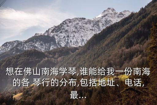 想在佛山南海學(xué)琴,誰(shuí)能給我一份南海的各 琴行的分布,包括地址、電話,最...