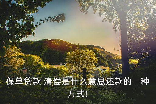 清償是什么意思,債務(wù)到期之前的清償是什么意思
