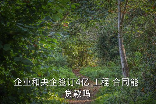 工程合同可以貸款嗎