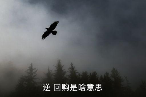 債券逆回購