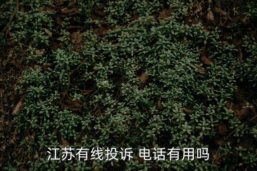 12335是什么電話,勞動局24小時在線咨詢