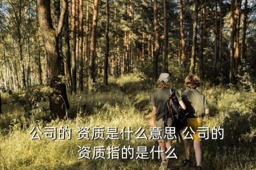  公司的 資質(zhì)是什么意思 公司的 資質(zhì)指的是什么