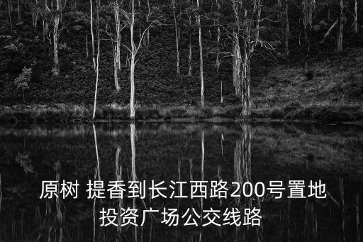  原樹 提香到長江西路200號置地投資廣場公交線路
