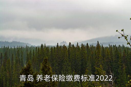  青島 養(yǎng)老保險(xiǎn)繳費(fèi)標(biāo)準(zhǔn)2022