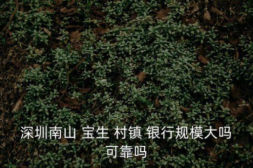 深圳南山 寶生 村鎮(zhèn) 銀行規(guī)模大嗎可靠嗎