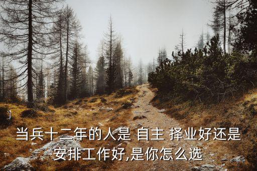 全國自主擇業(yè)工作信息平臺