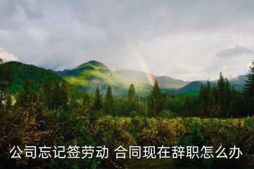 公司忘記簽勞動 合同現在辭職怎么辦