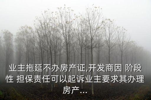 業(yè)主拖延不辦房產(chǎn)證,開(kāi)發(fā)商因 階段性 擔(dān)保責(zé)任可以起訴業(yè)主要求其辦理房產(chǎn)...