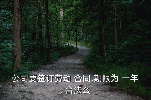 公司要簽訂勞動 合同,期限為 一年, 合法么