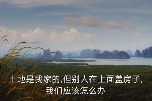 占用他人宅基地建房怎么處理,別人占我宅基地我可以強(qiáng)拆嗎