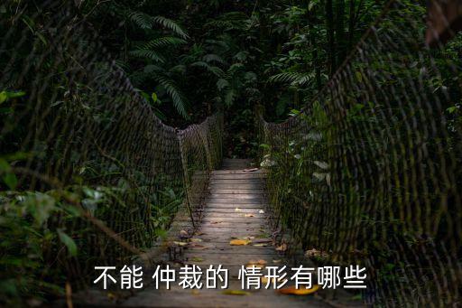 不能 仲裁的 情形有哪些