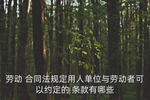 勞動(dòng) 合同法規(guī)定用人單位與勞動(dòng)者可以約定的 條款有哪些