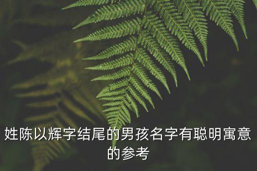 姓陳以輝字結(jié)尾的男孩名字有聰明寓意的參考