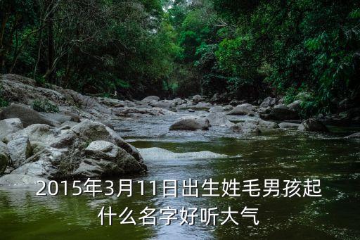 2015年3月11日出生姓毛男孩起什么名字好聽大氣
