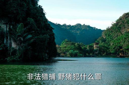 狩獵野豬,塞爾達怎么狩獵野豬