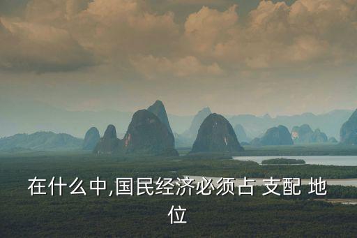 在什么中,國民經(jīng)濟必須占 支配 地位