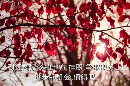 掛職是好事還是壞事,政府去國(guó)企掛職是好事還是壞事